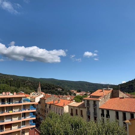 Hotel Des Bains Et Des Gorges アメリ・レ・バン・パラルダ エクステリア 写真